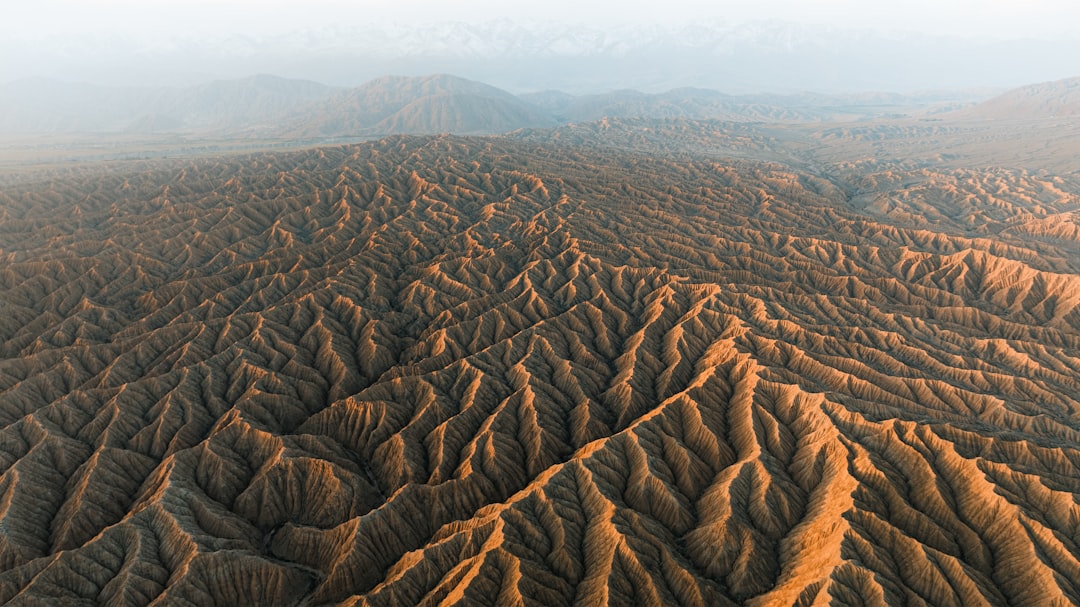 Lothar Matthäus Vermögen: Fußballstar und sein finanzieller Erfolg
