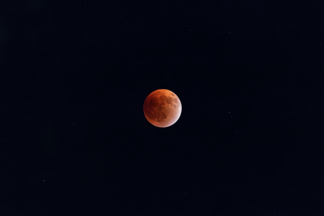 Was der GGT-Blutwert über die Körper-Balance verrät